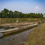 2024-10 - Népal - J11 - Parc National de Chitwan - 055